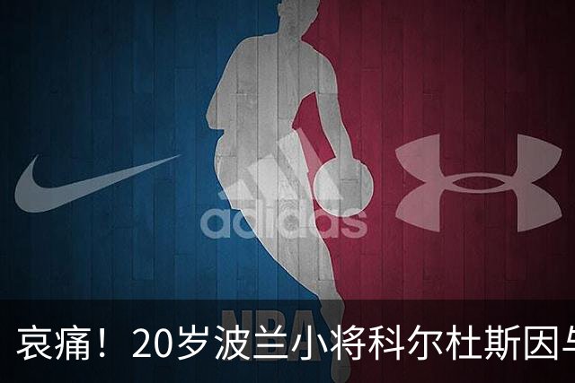 哀痛！20岁波兰小将科尔杜斯因与鹿相撞事故不幸离世